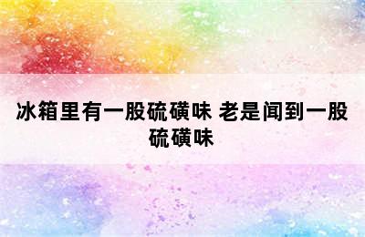 冰箱里有一股硫磺味 老是闻到一股硫磺味